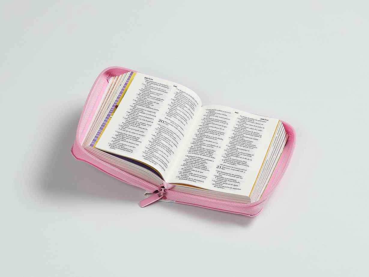 Biblia RVR60 Mi gran viaje bolsillo rosa